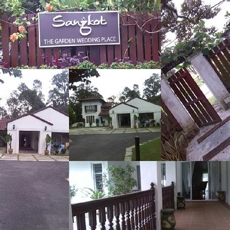 sangkot in english